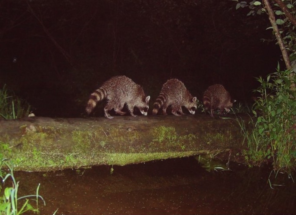 Grey placeholder rectangle